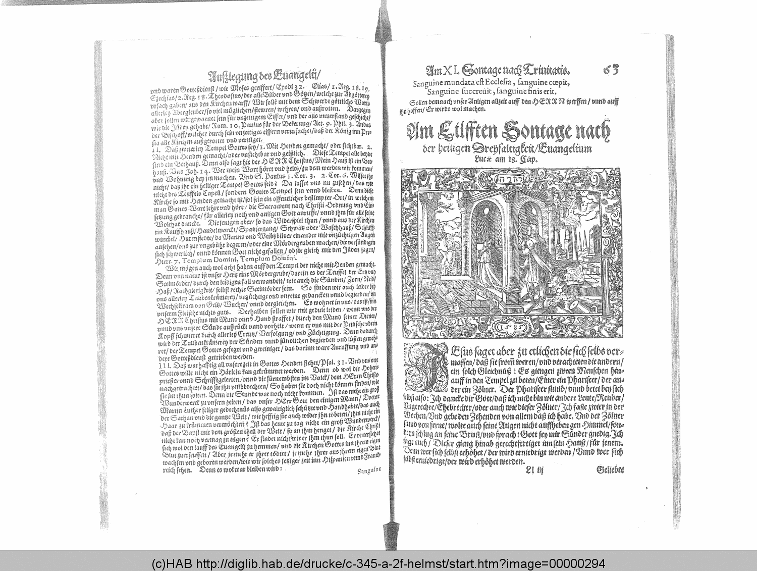 http://diglib.hab.de/drucke/c-345-a-2f-helmst/00000294.gif