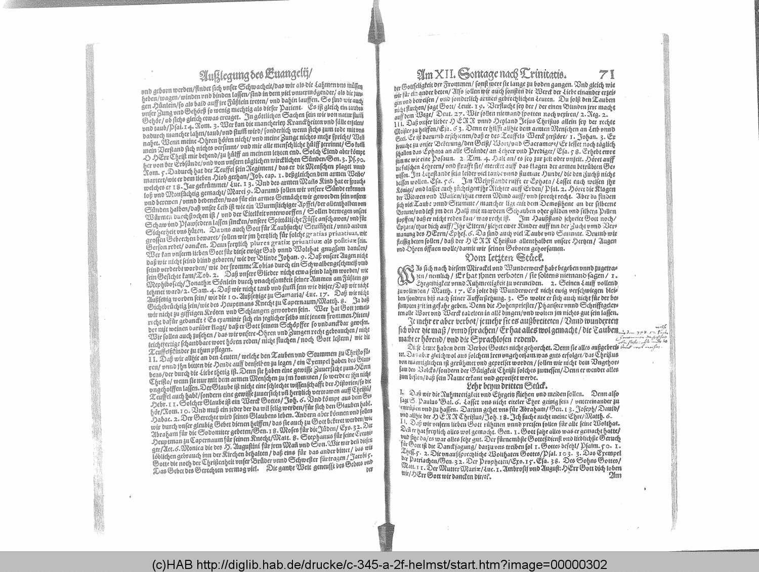 http://diglib.hab.de/drucke/c-345-a-2f-helmst/00000302.gif