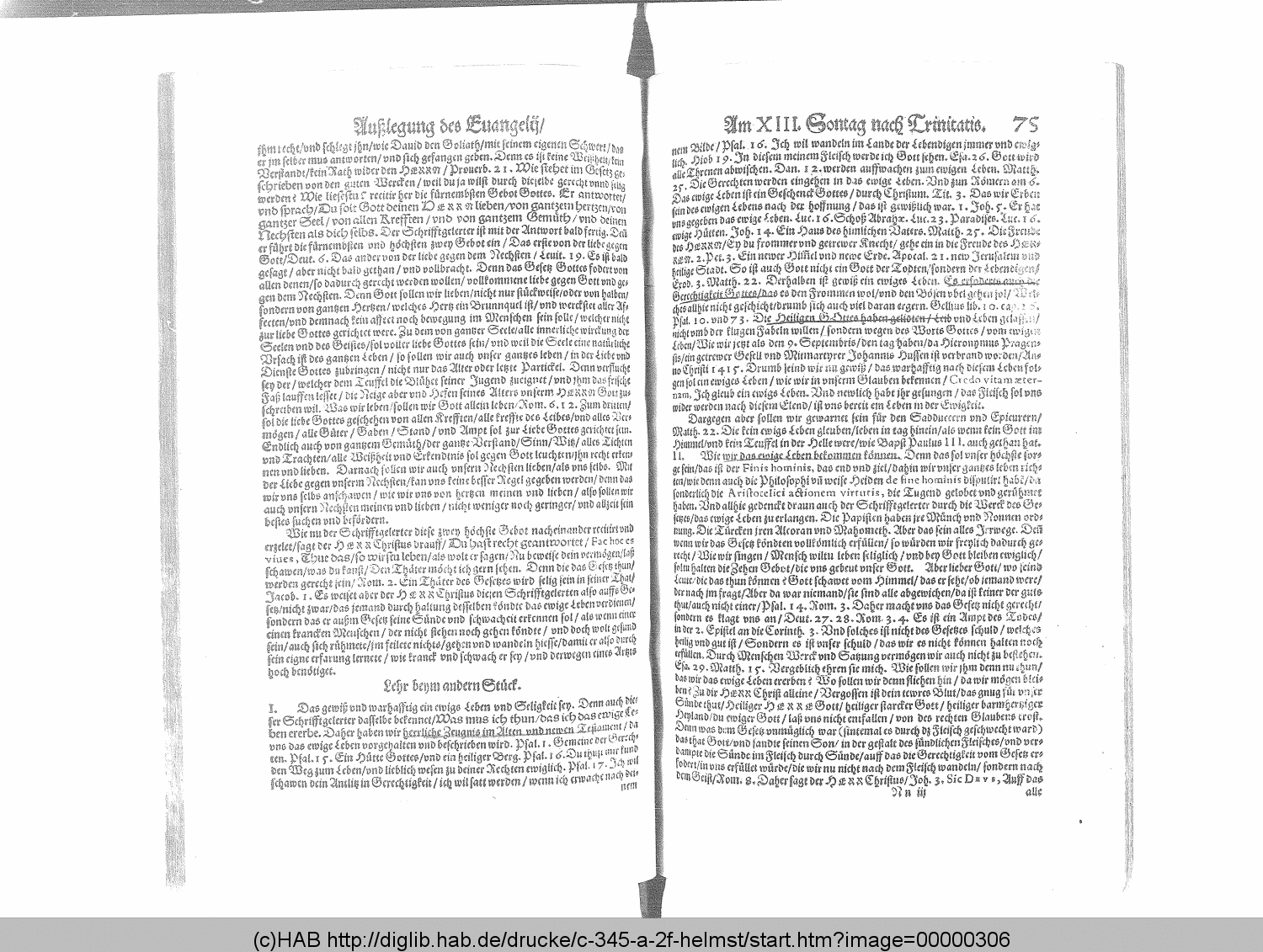 http://diglib.hab.de/drucke/c-345-a-2f-helmst/00000306.gif