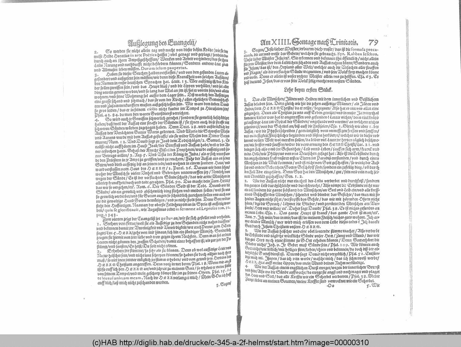 http://diglib.hab.de/drucke/c-345-a-2f-helmst/00000310.gif