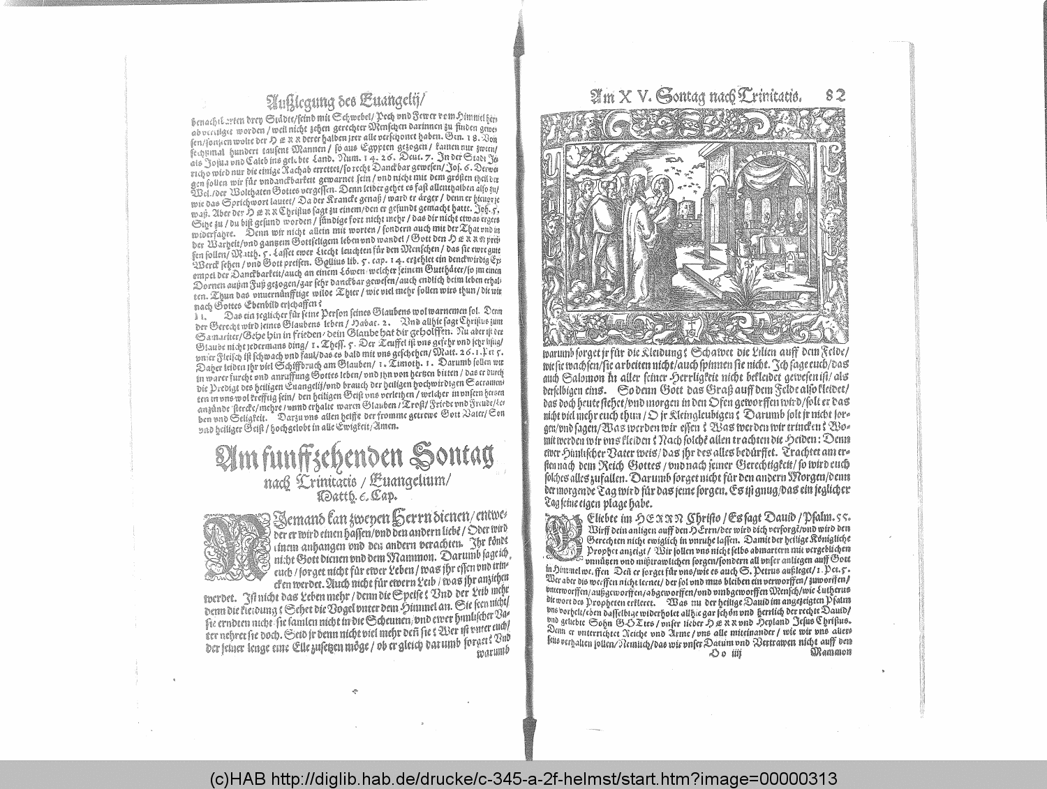 http://diglib.hab.de/drucke/c-345-a-2f-helmst/00000313.gif