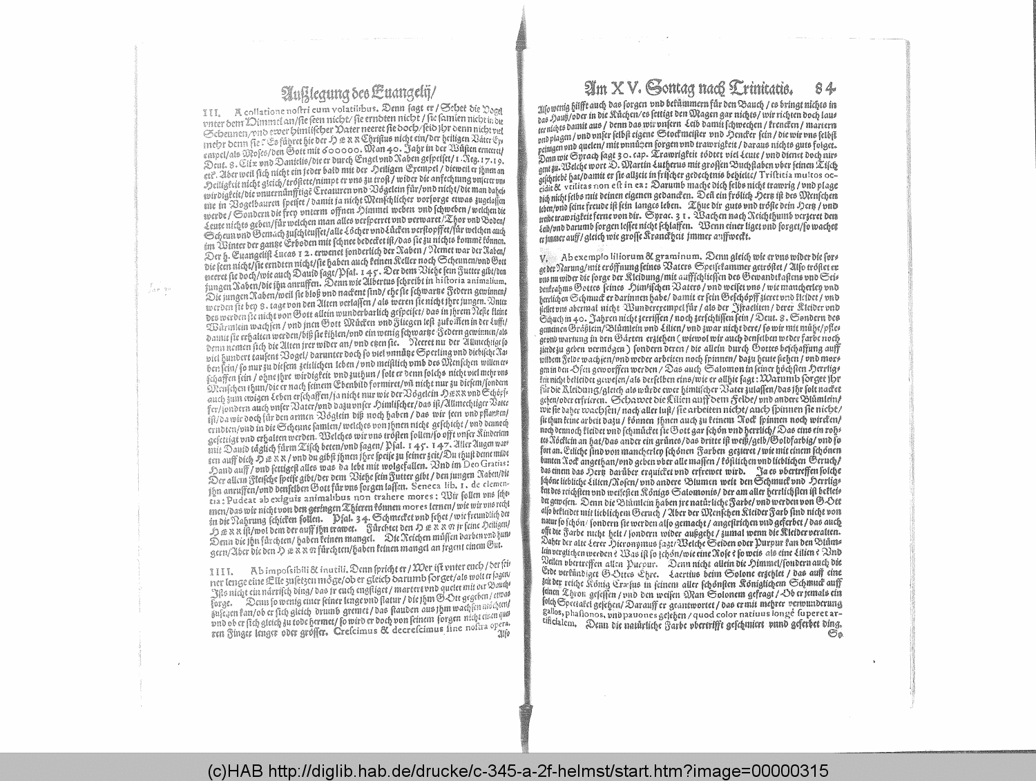 http://diglib.hab.de/drucke/c-345-a-2f-helmst/00000315.gif
