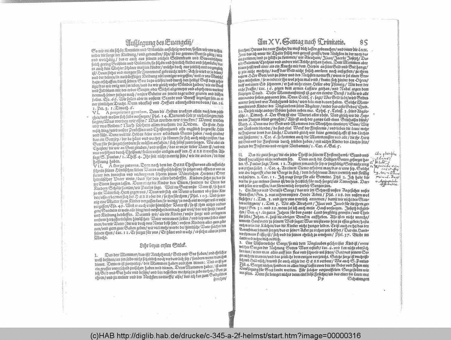 http://diglib.hab.de/drucke/c-345-a-2f-helmst/00000316.gif