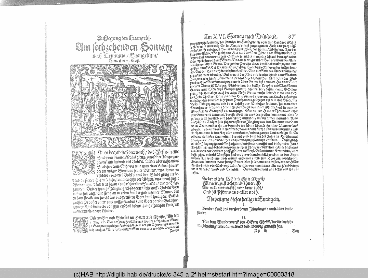 http://diglib.hab.de/drucke/c-345-a-2f-helmst/00000318.gif