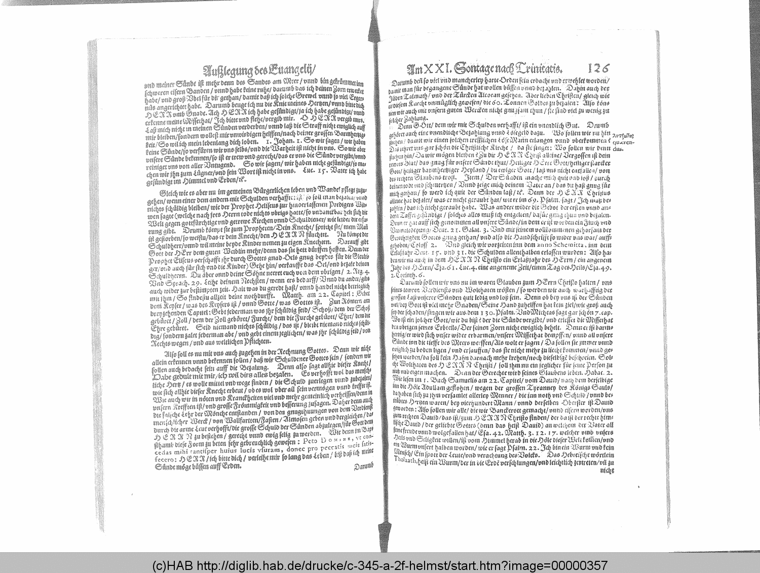 http://diglib.hab.de/drucke/c-345-a-2f-helmst/00000357.gif