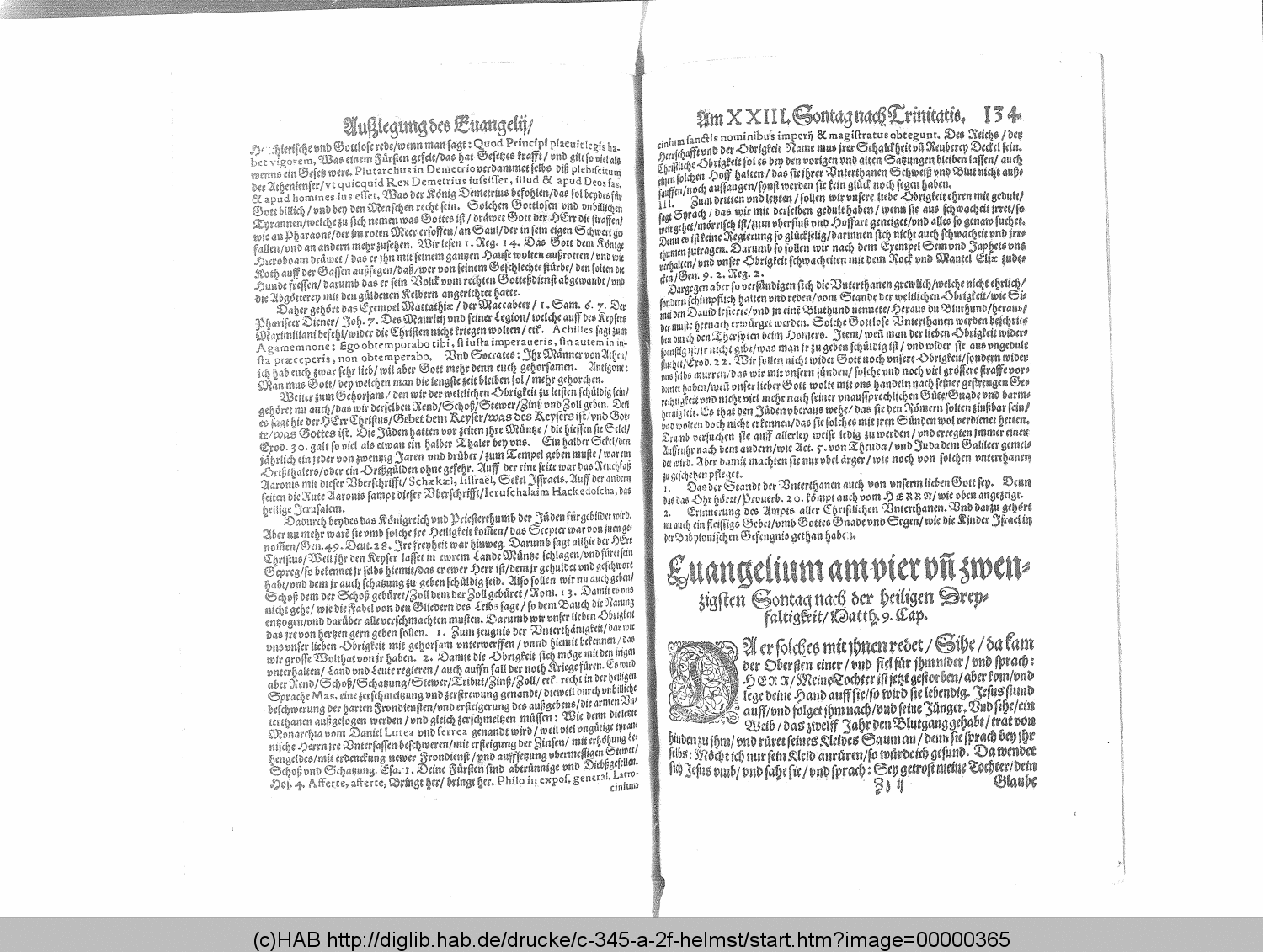 http://diglib.hab.de/drucke/c-345-a-2f-helmst/00000365.gif