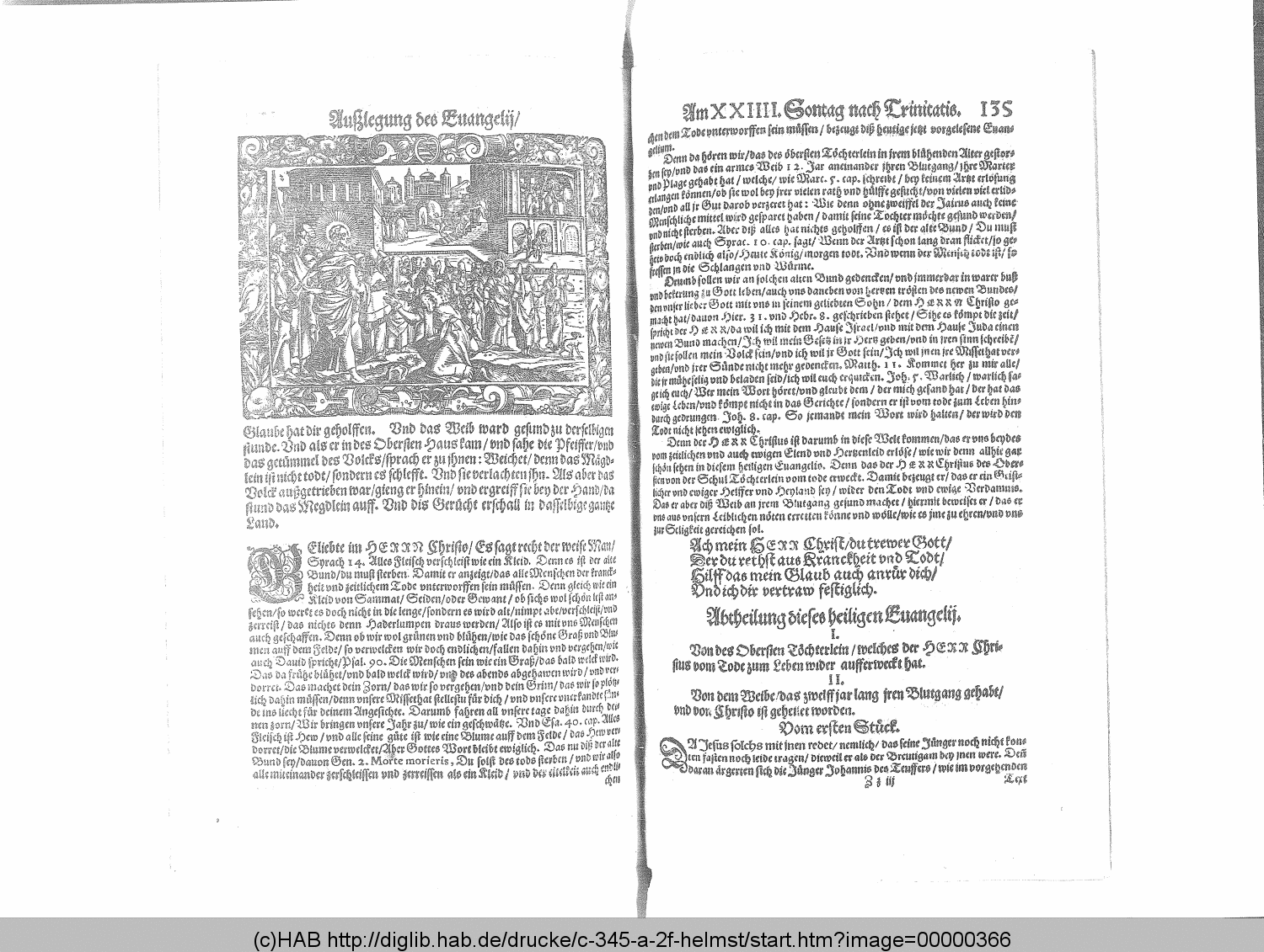 http://diglib.hab.de/drucke/c-345-a-2f-helmst/00000366.gif