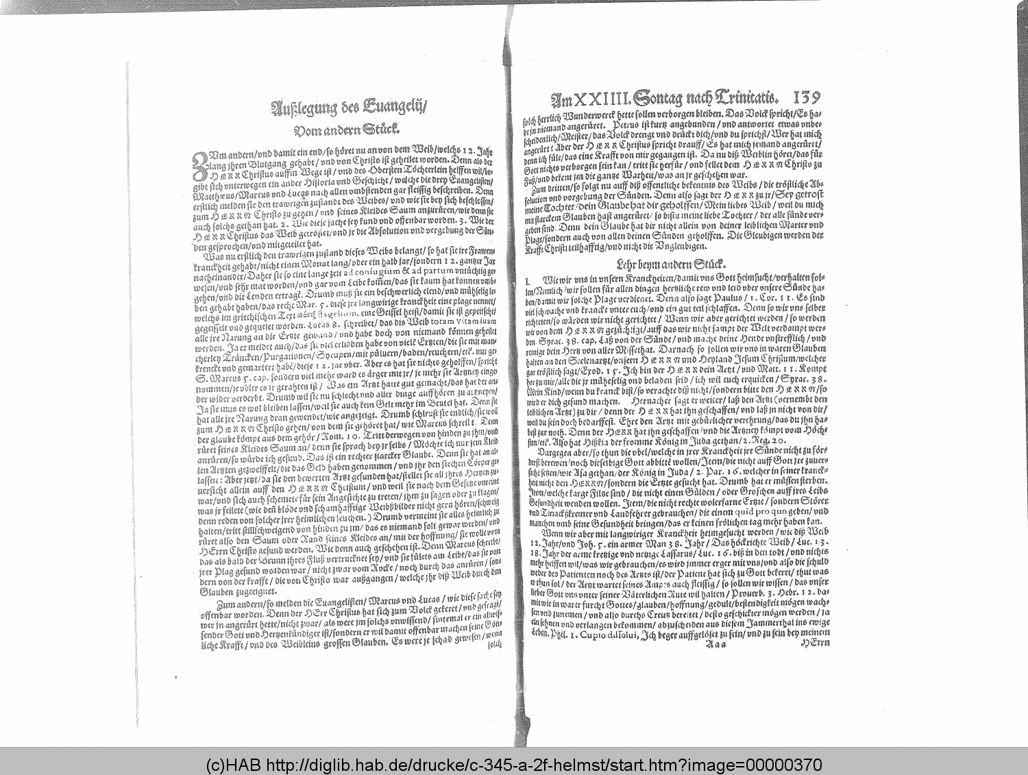 http://diglib.hab.de/drucke/c-345-a-2f-helmst/00000370.gif