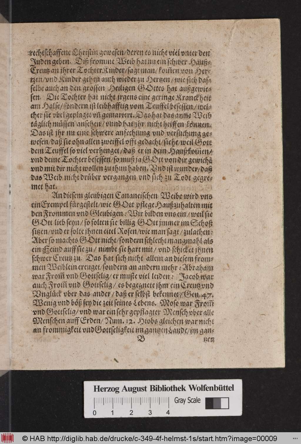 http://diglib.hab.de/drucke/c-349-4f-helmst-1s/00009.jpg