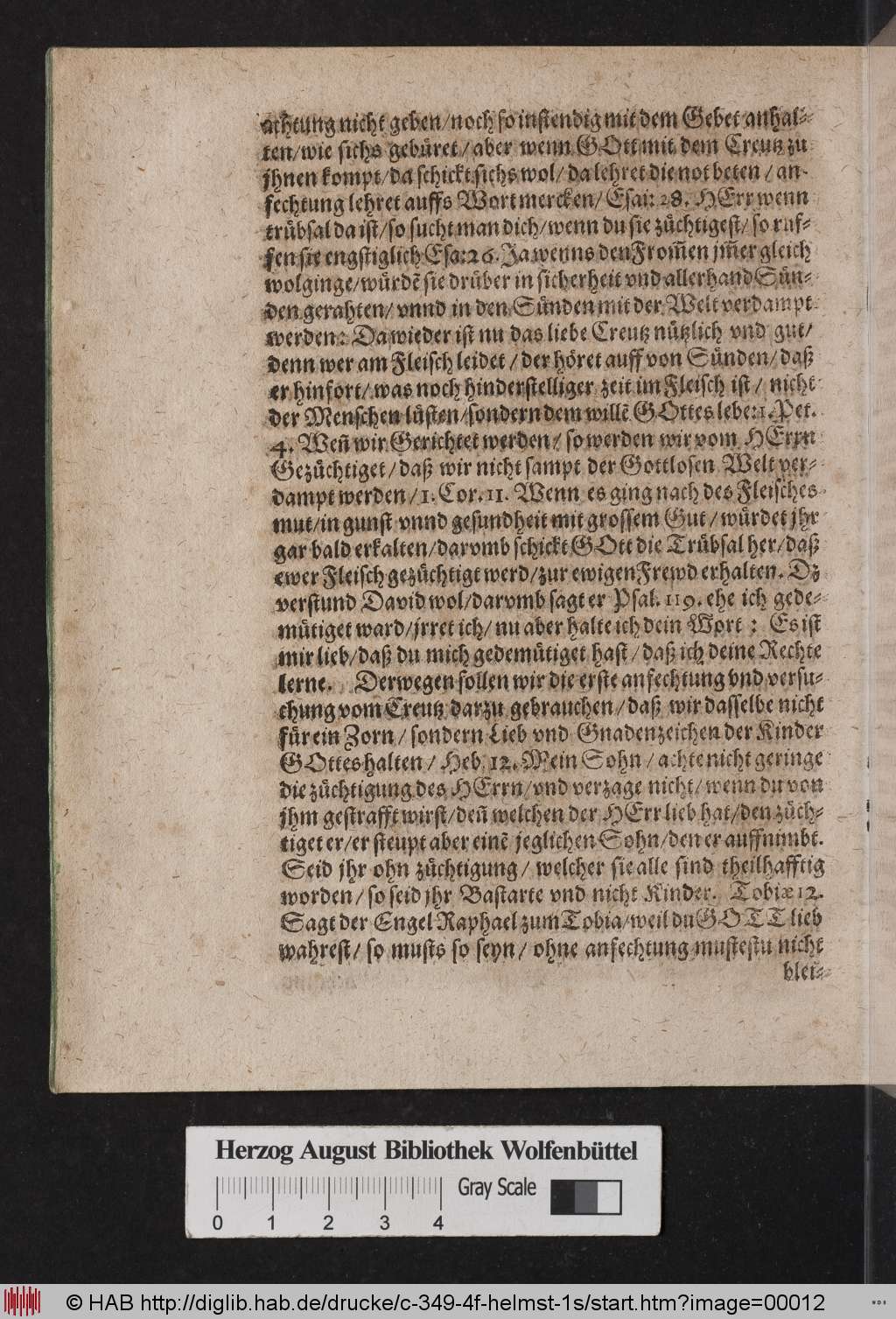 http://diglib.hab.de/drucke/c-349-4f-helmst-1s/00012.jpg