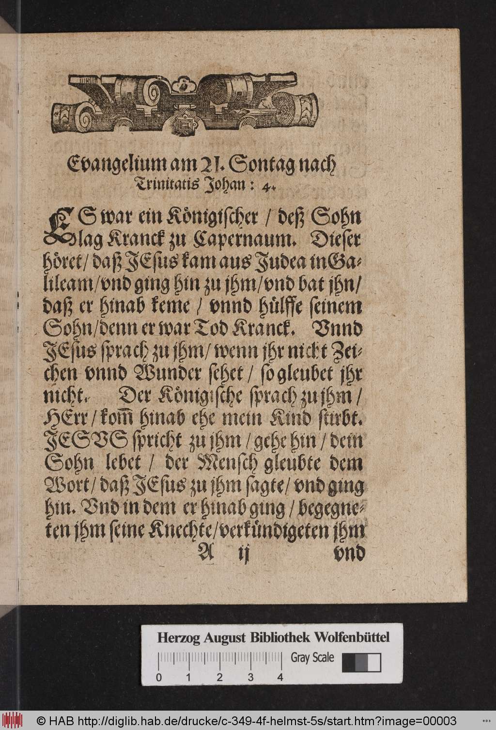 http://diglib.hab.de/drucke/c-349-4f-helmst-5s/00003.jpg