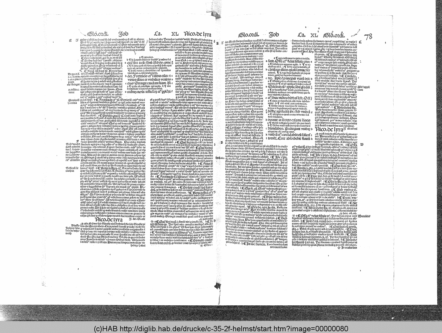 http://diglib.hab.de/drucke/c-35-2f-helmst/00000080.gif
