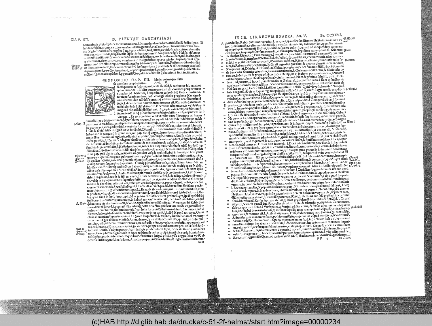http://diglib.hab.de/drucke/c-61-2f-helmst/00000234.gif