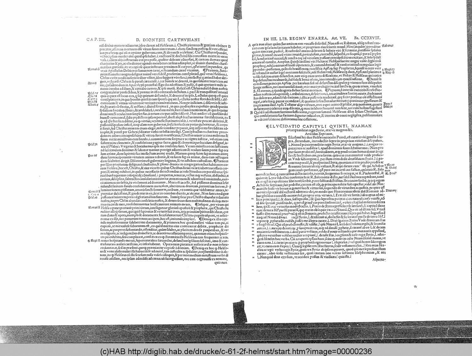 http://diglib.hab.de/drucke/c-61-2f-helmst/00000236.gif