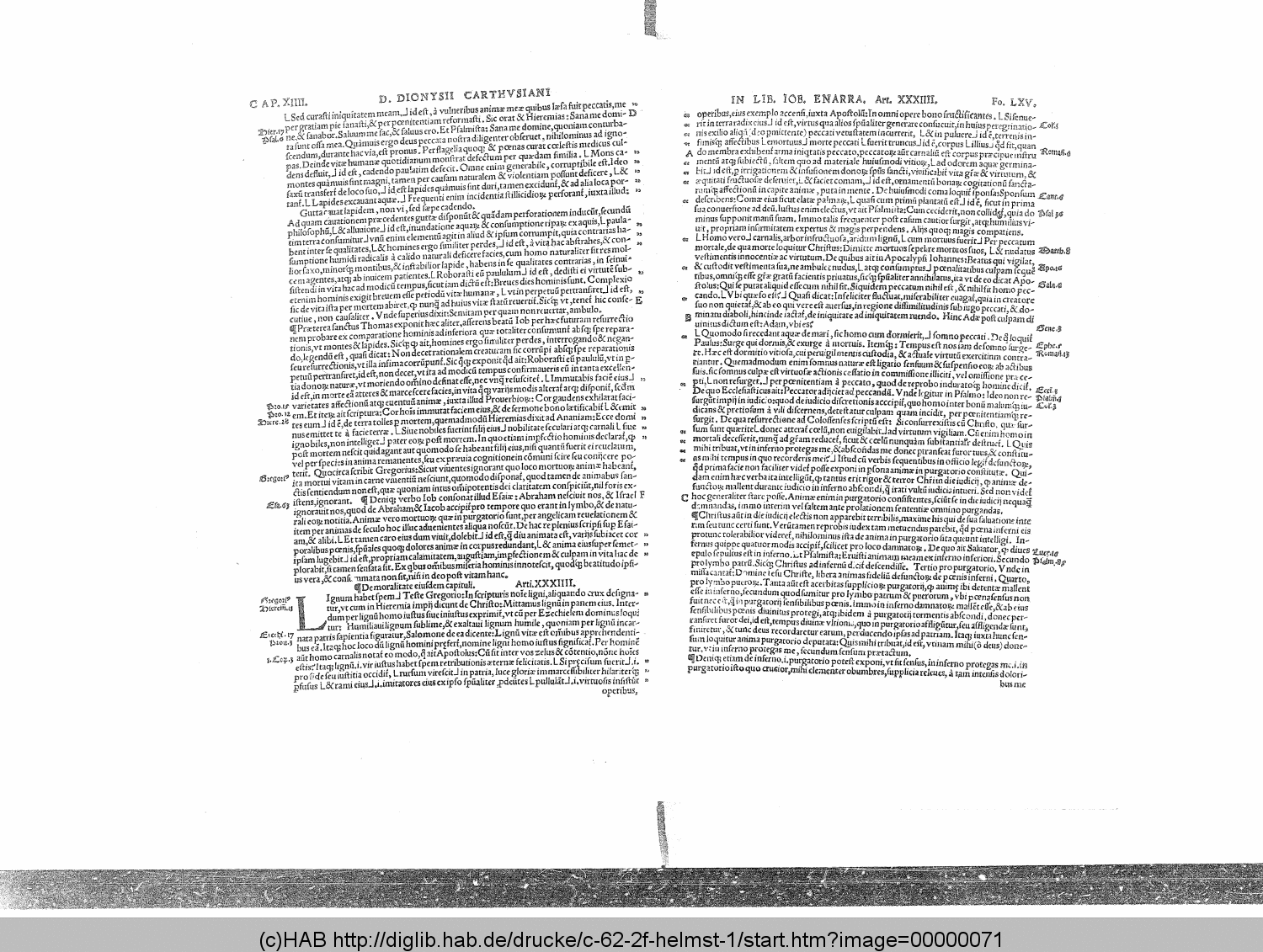 http://diglib.hab.de/drucke/c-62-2f-helmst-1/00000071.gif