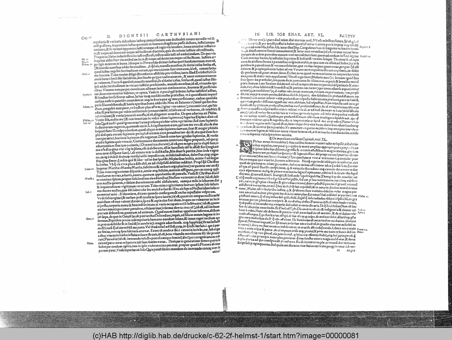 http://diglib.hab.de/drucke/c-62-2f-helmst-1/00000081.gif