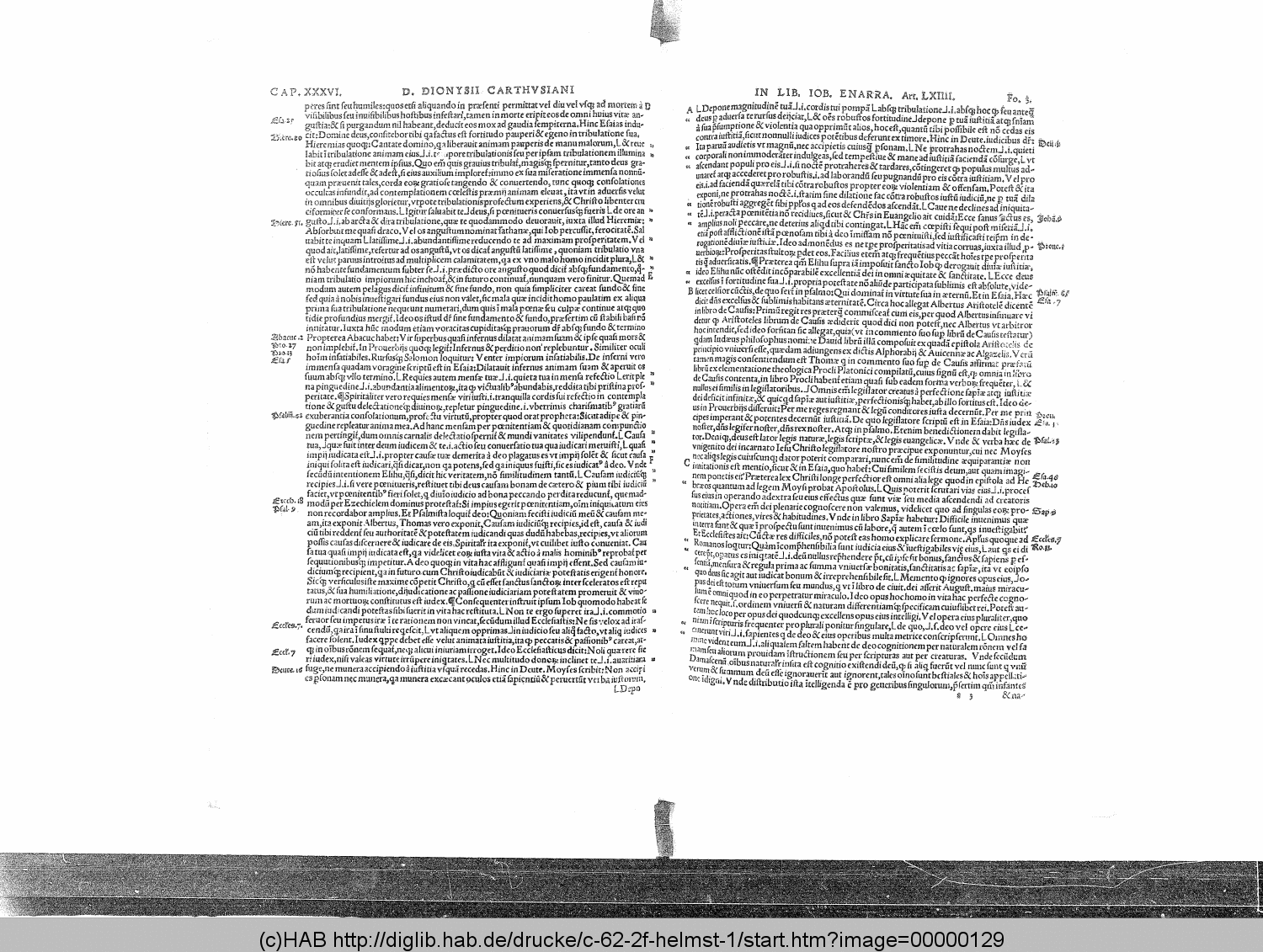 http://diglib.hab.de/drucke/c-62-2f-helmst-1/00000129.gif