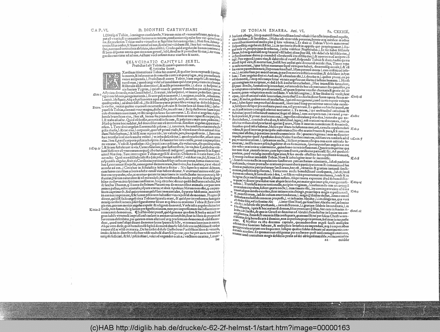 http://diglib.hab.de/drucke/c-62-2f-helmst-1/00000163.gif