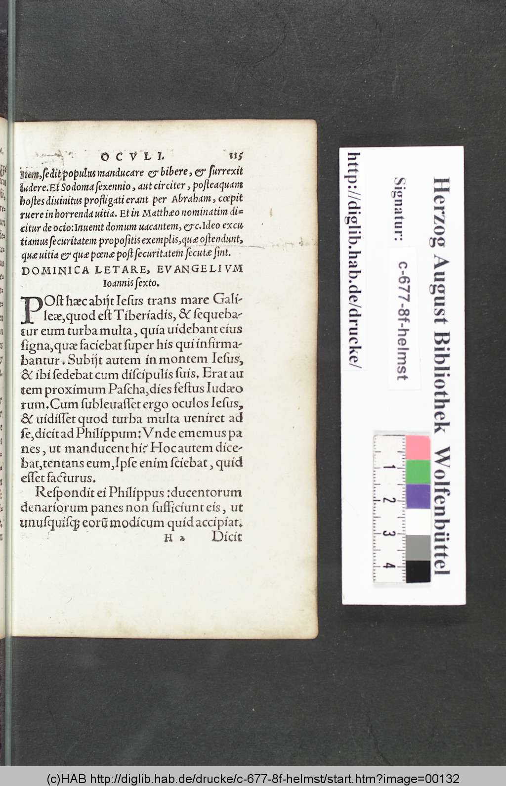 http://diglib.hab.de/drucke/c-677-8f-helmst/00132.jpg