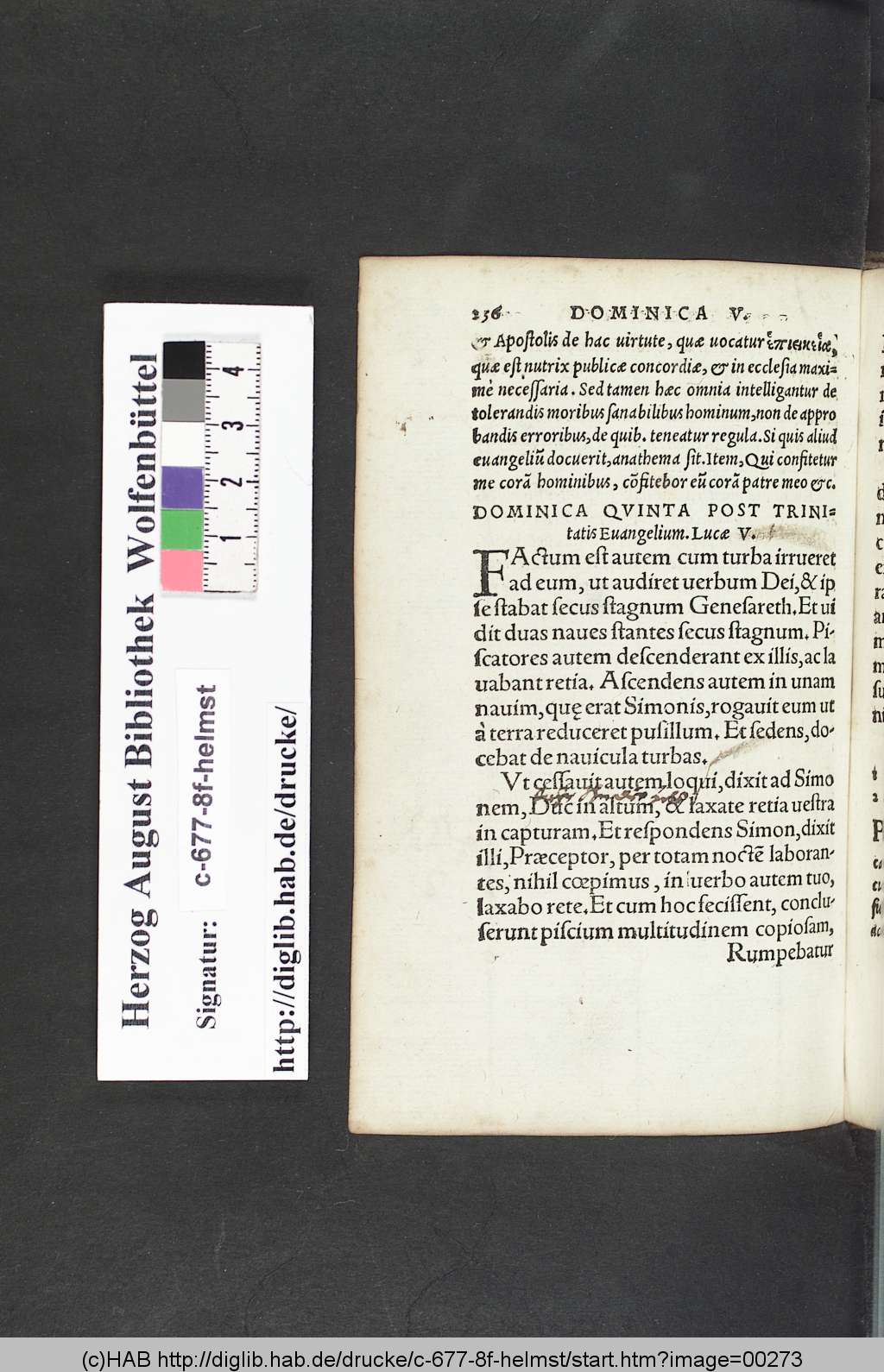 http://diglib.hab.de/drucke/c-677-8f-helmst/00273.jpg