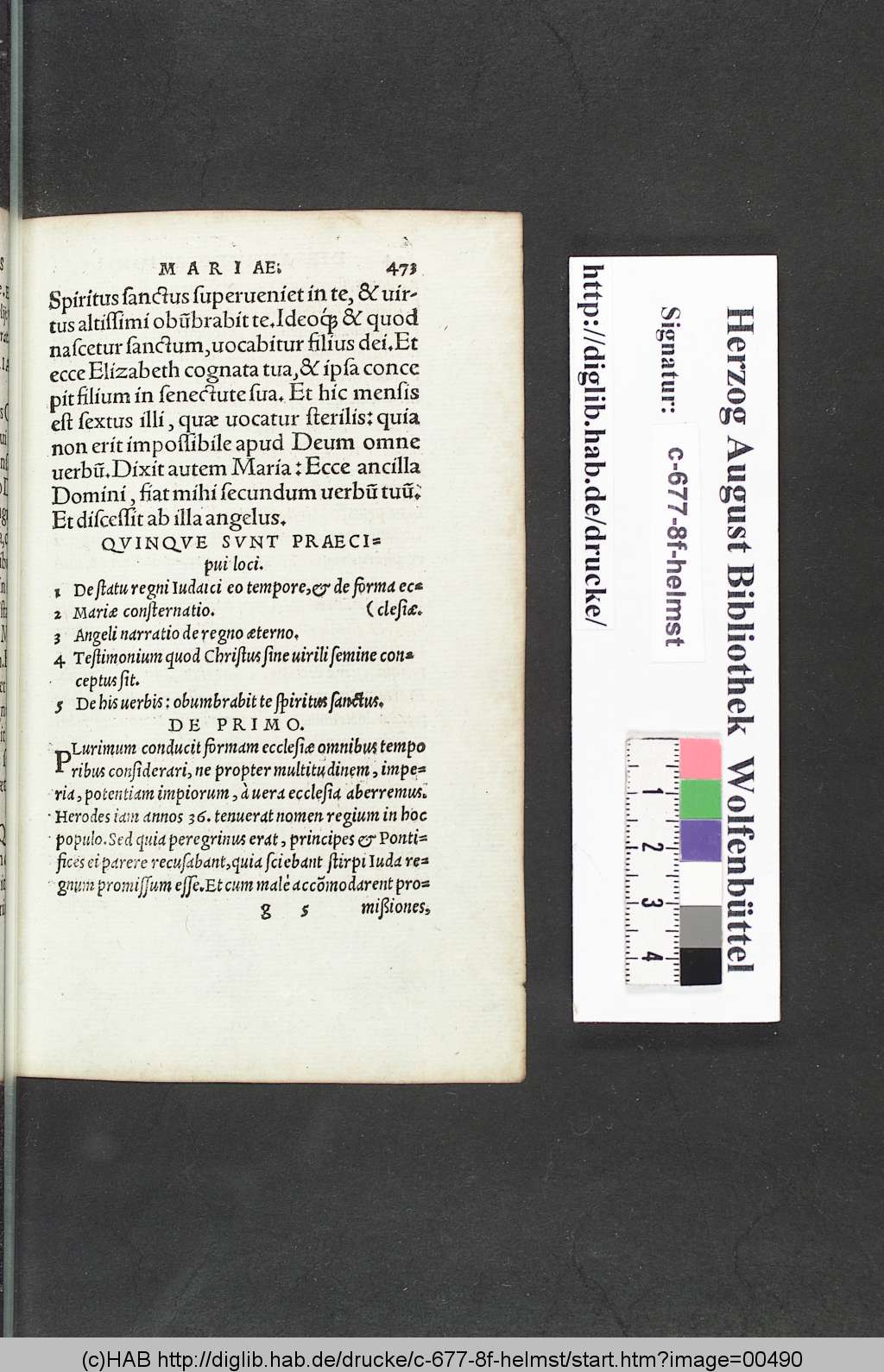 http://diglib.hab.de/drucke/c-677-8f-helmst/00490.jpg