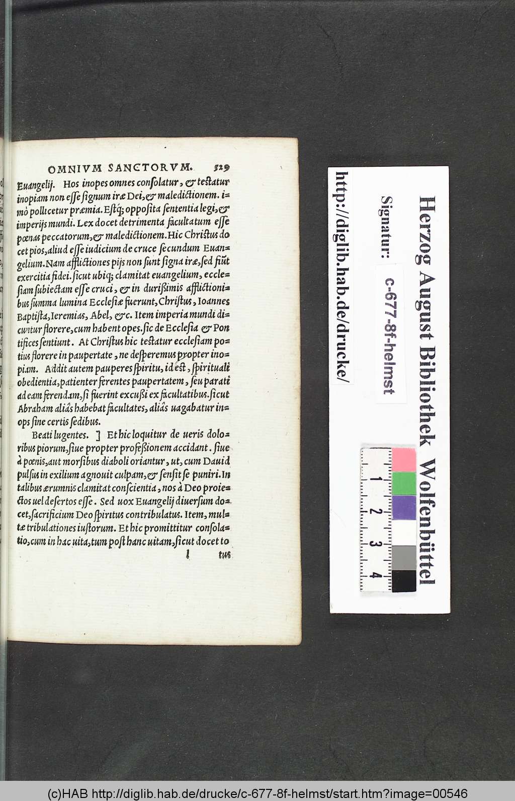 http://diglib.hab.de/drucke/c-677-8f-helmst/00546.jpg