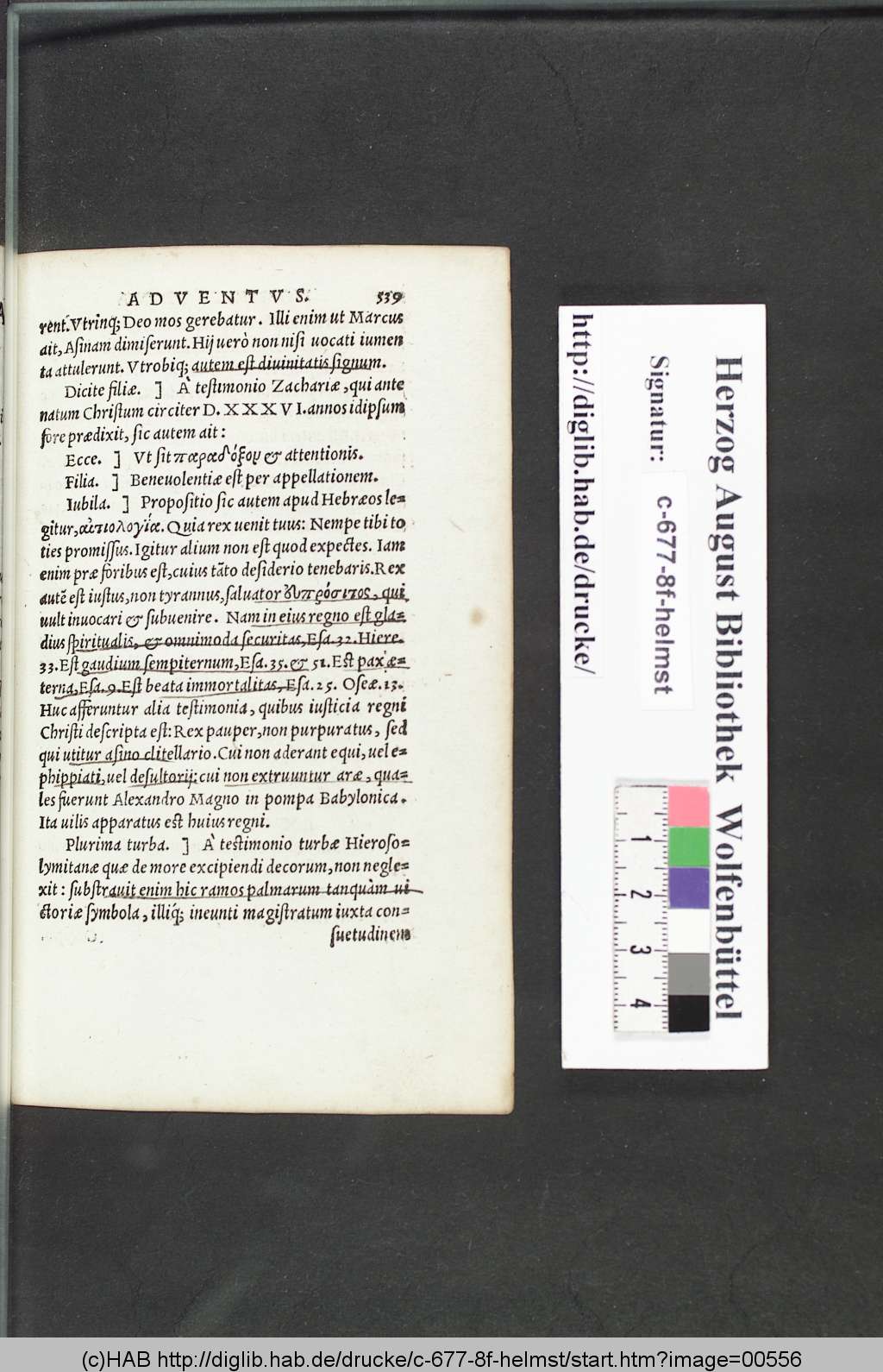 http://diglib.hab.de/drucke/c-677-8f-helmst/00556.jpg