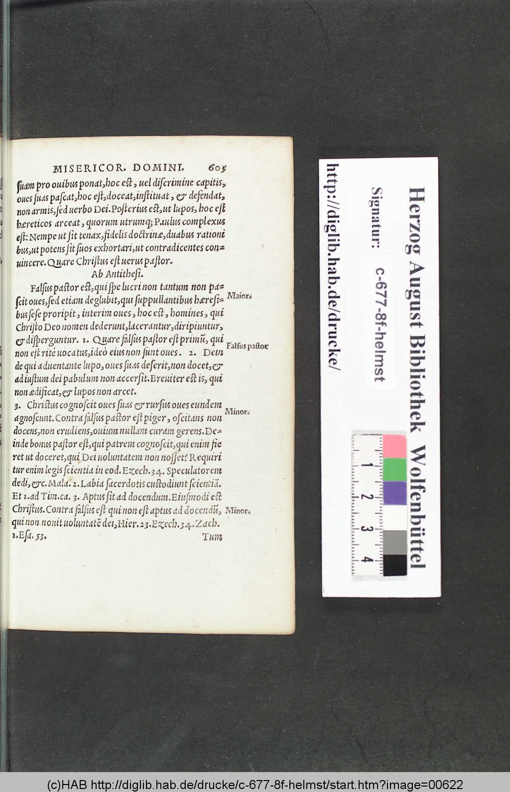 http://diglib.hab.de/drucke/c-677-8f-helmst/00622.jpg