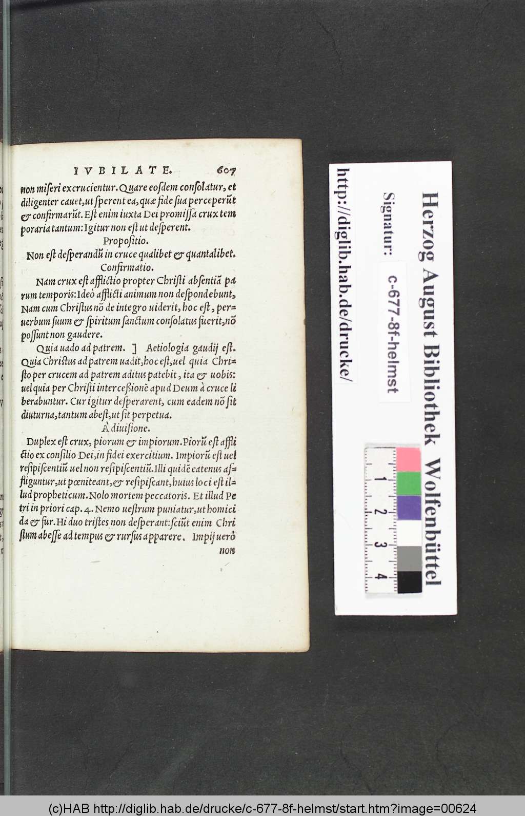 http://diglib.hab.de/drucke/c-677-8f-helmst/00624.jpg