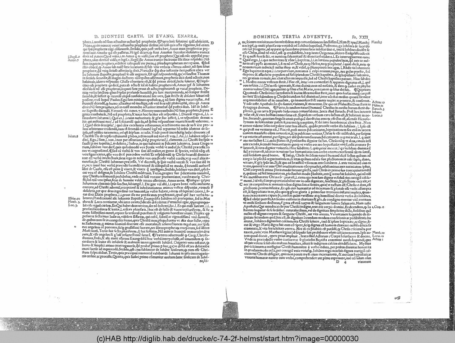 http://diglib.hab.de/drucke/c-74-2f-helmst/00000030.gif