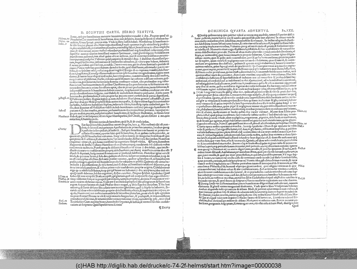 http://diglib.hab.de/drucke/c-74-2f-helmst/00000038.gif