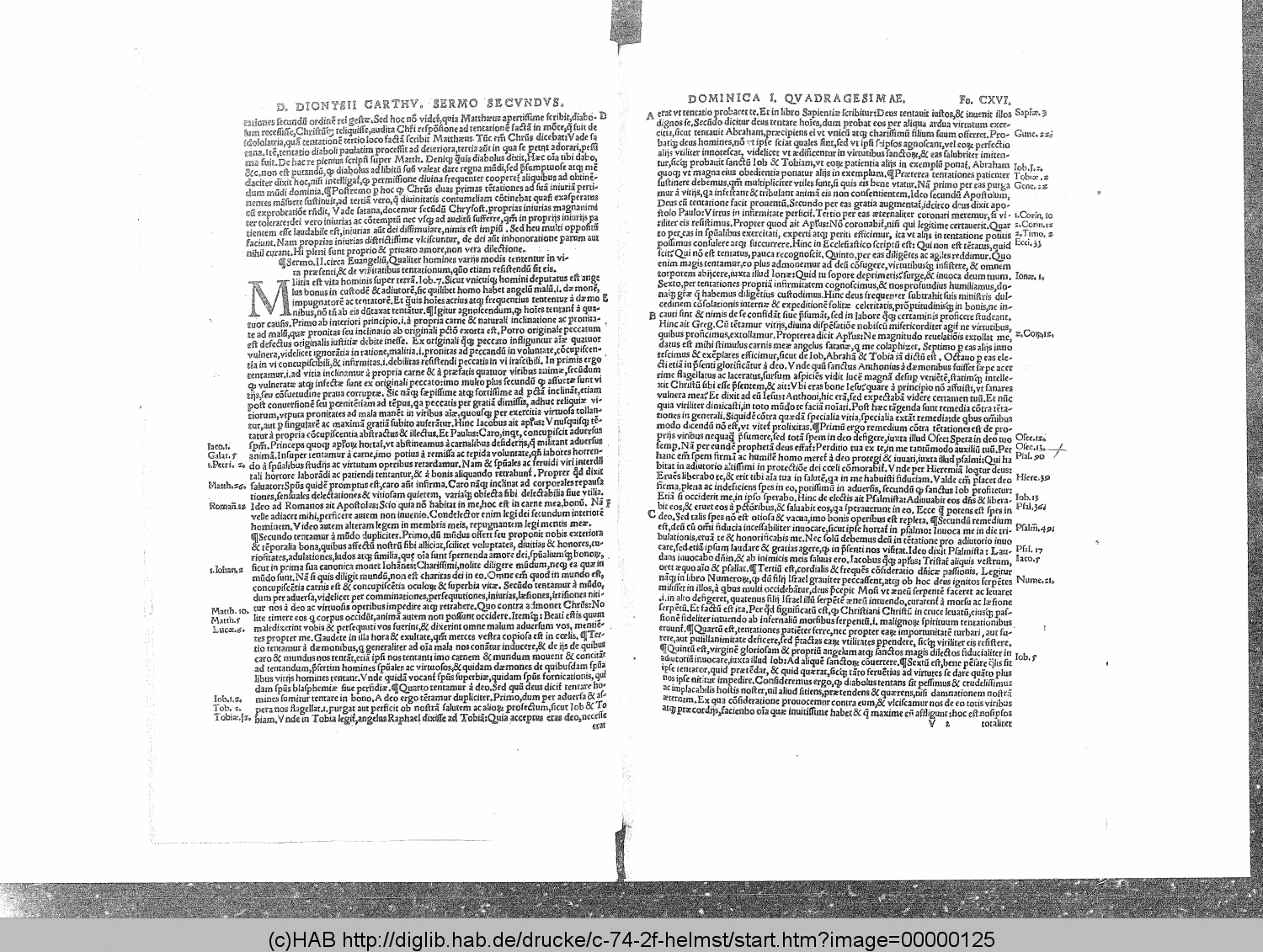 http://diglib.hab.de/drucke/c-74-2f-helmst/00000125.gif