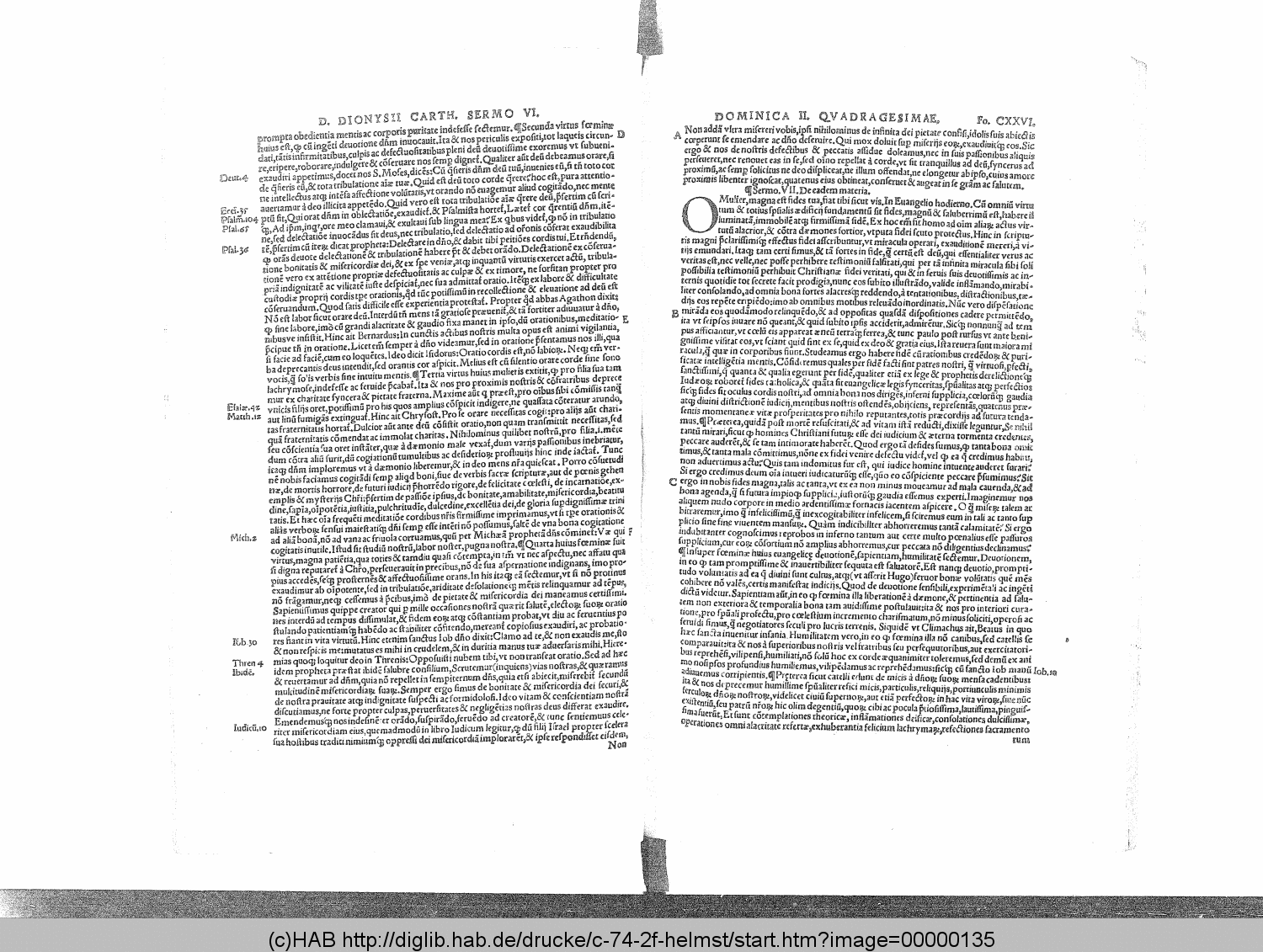 http://diglib.hab.de/drucke/c-74-2f-helmst/00000135.gif