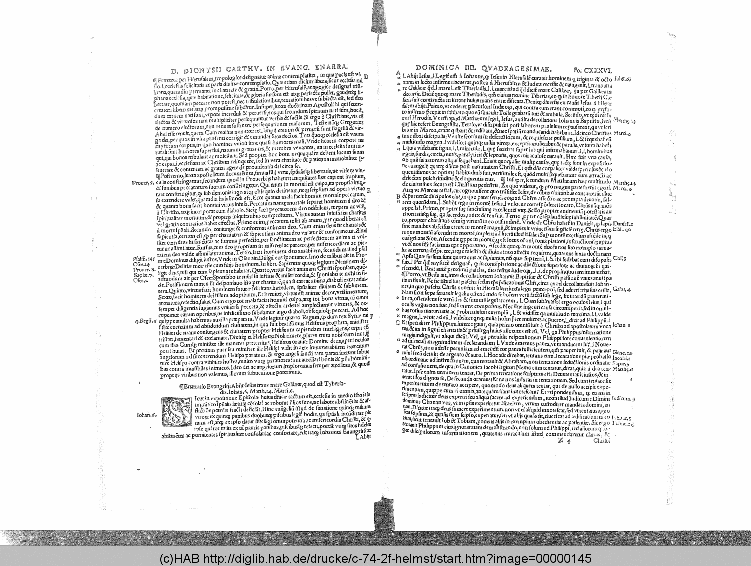 http://diglib.hab.de/drucke/c-74-2f-helmst/00000145.gif