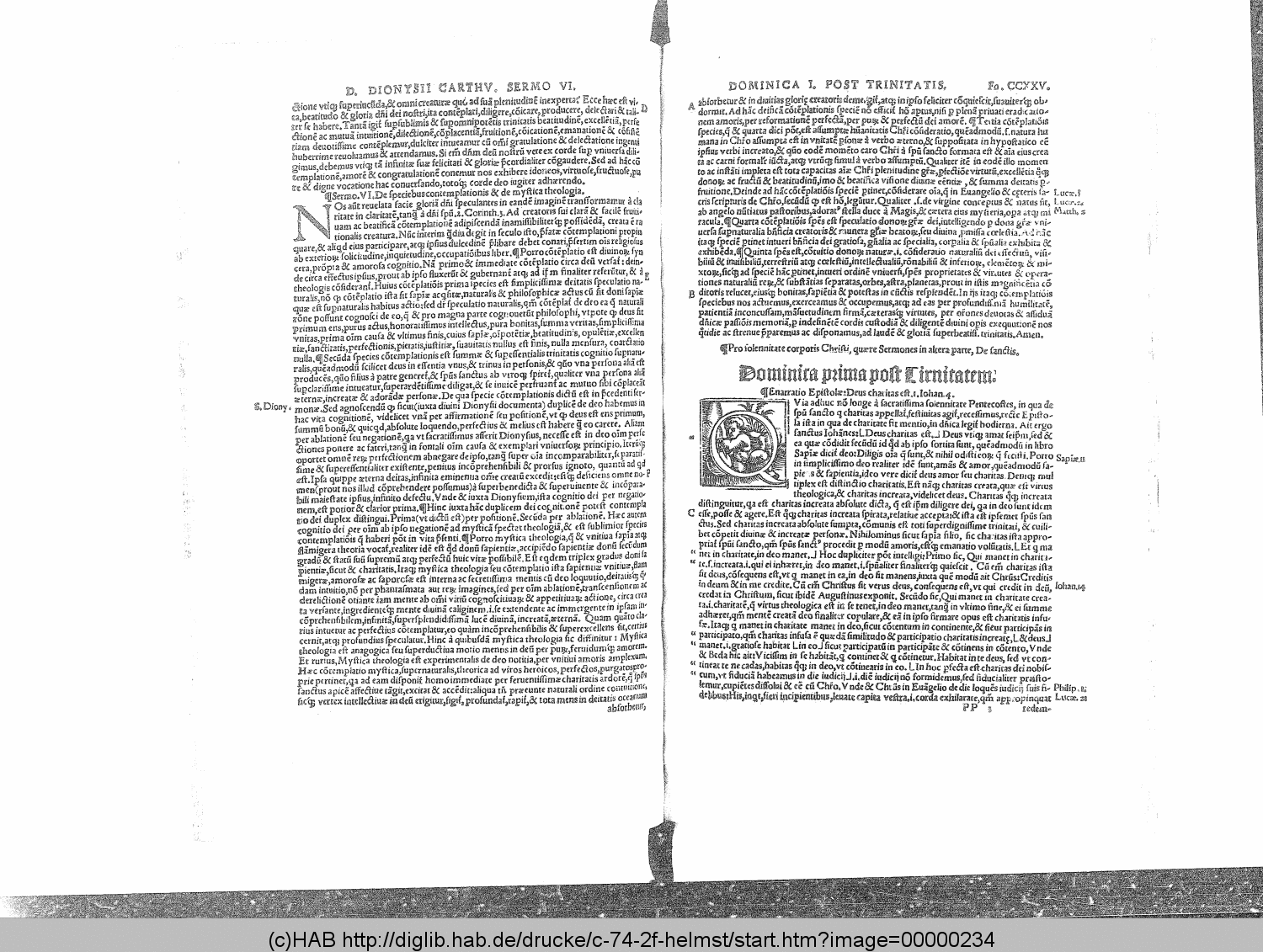 http://diglib.hab.de/drucke/c-74-2f-helmst/00000234.gif