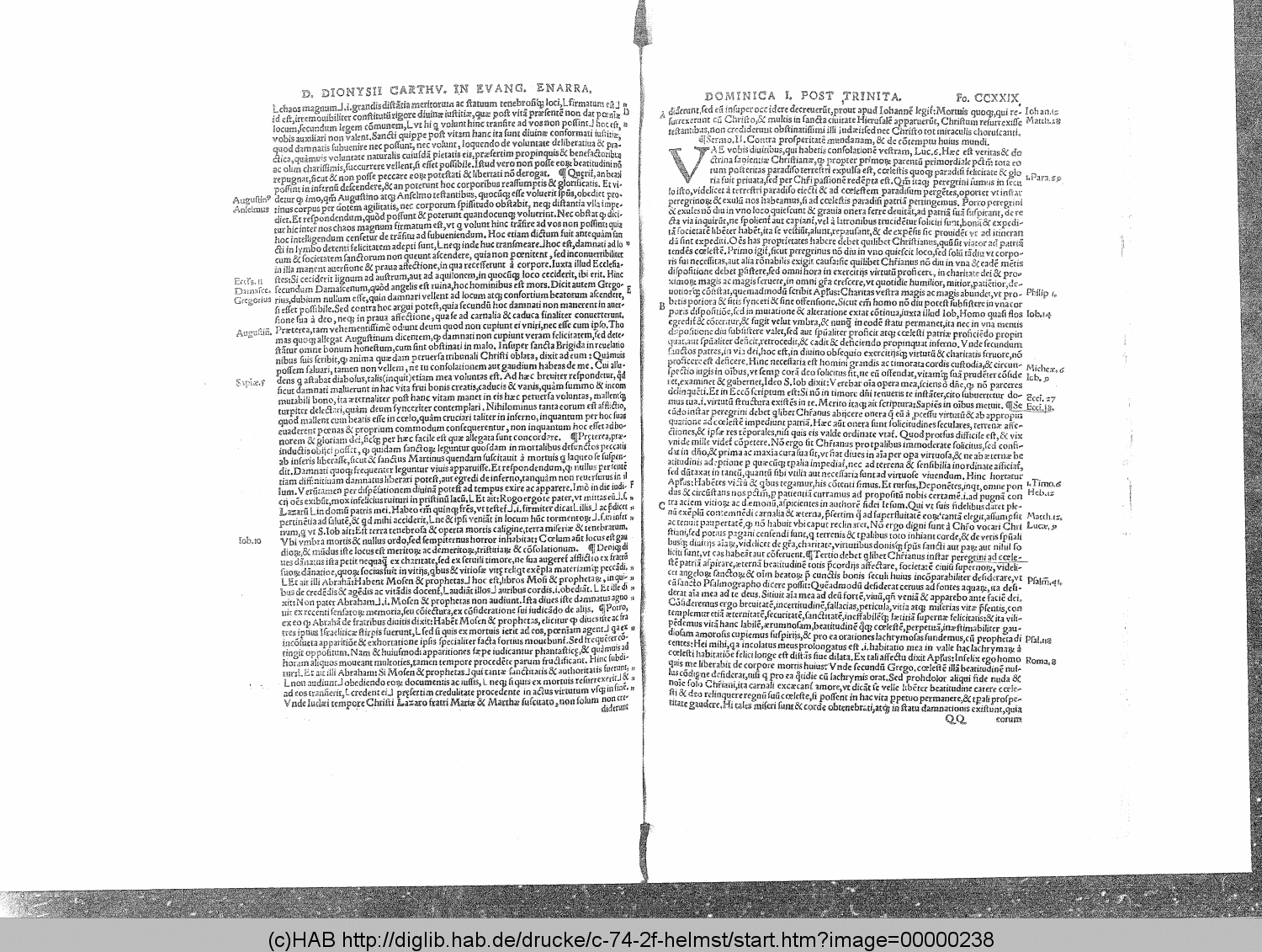 http://diglib.hab.de/drucke/c-74-2f-helmst/00000238.gif