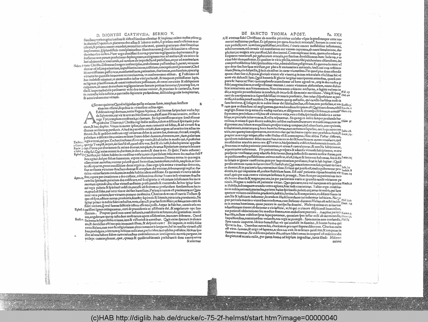 http://diglib.hab.de/drucke/c-75-2f-helmst/00000040.gif