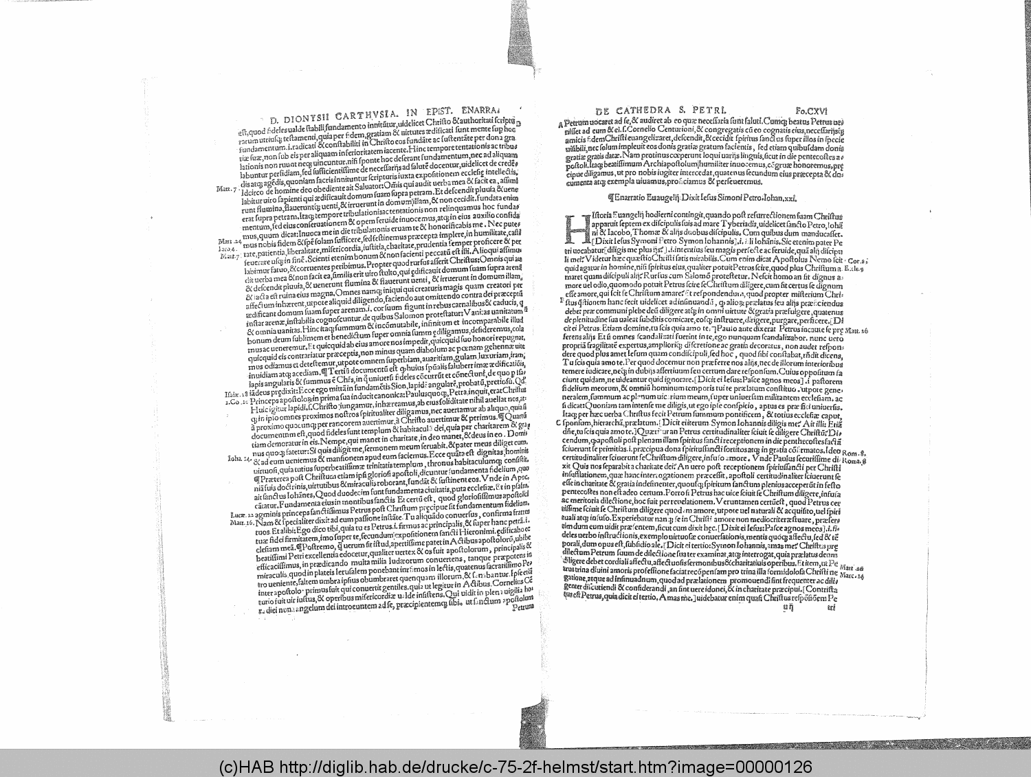 http://diglib.hab.de/drucke/c-75-2f-helmst/00000126.gif