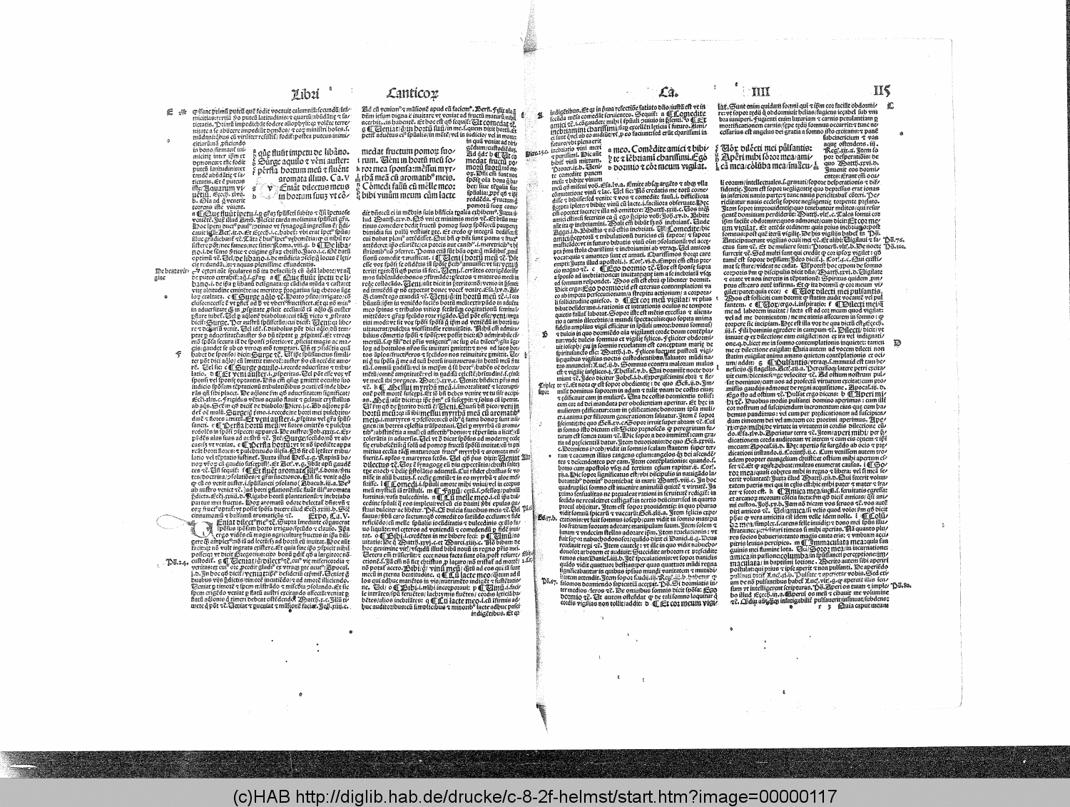 http://diglib.hab.de/drucke/c-8-2f-helmst/00000117.gif