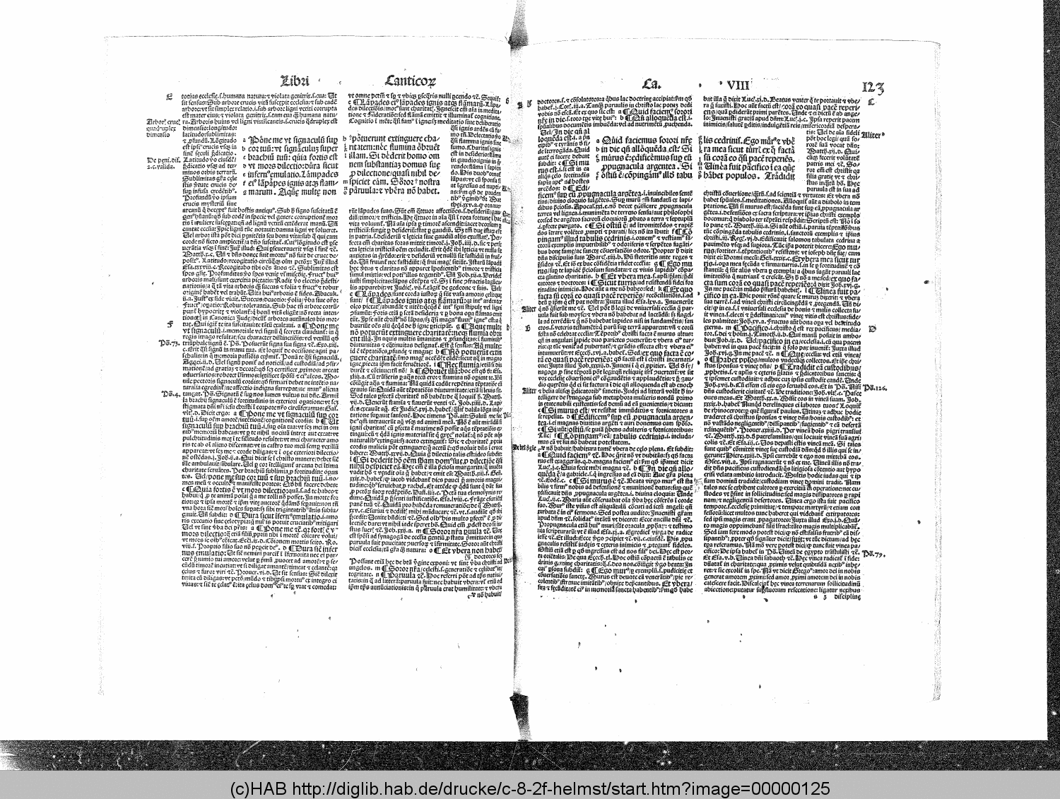 http://diglib.hab.de/drucke/c-8-2f-helmst/00000125.gif