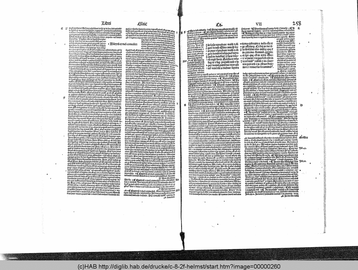 http://diglib.hab.de/drucke/c-8-2f-helmst/00000260.gif