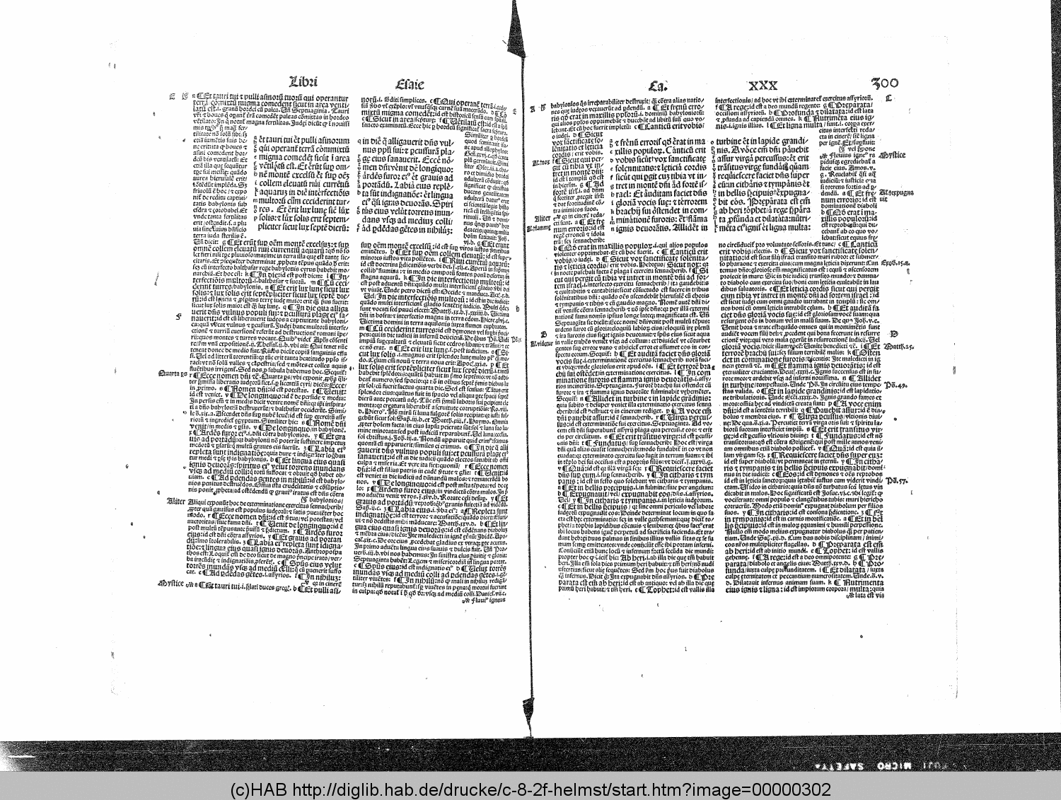 http://diglib.hab.de/drucke/c-8-2f-helmst/00000302.gif