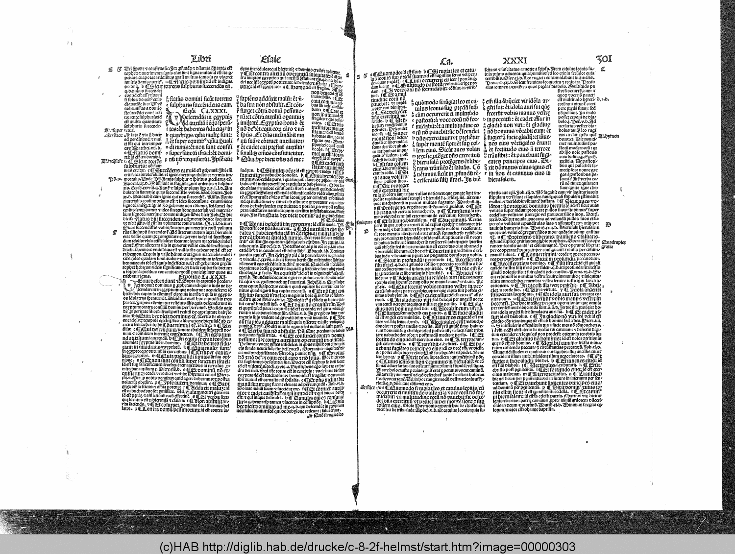http://diglib.hab.de/drucke/c-8-2f-helmst/00000303.gif
