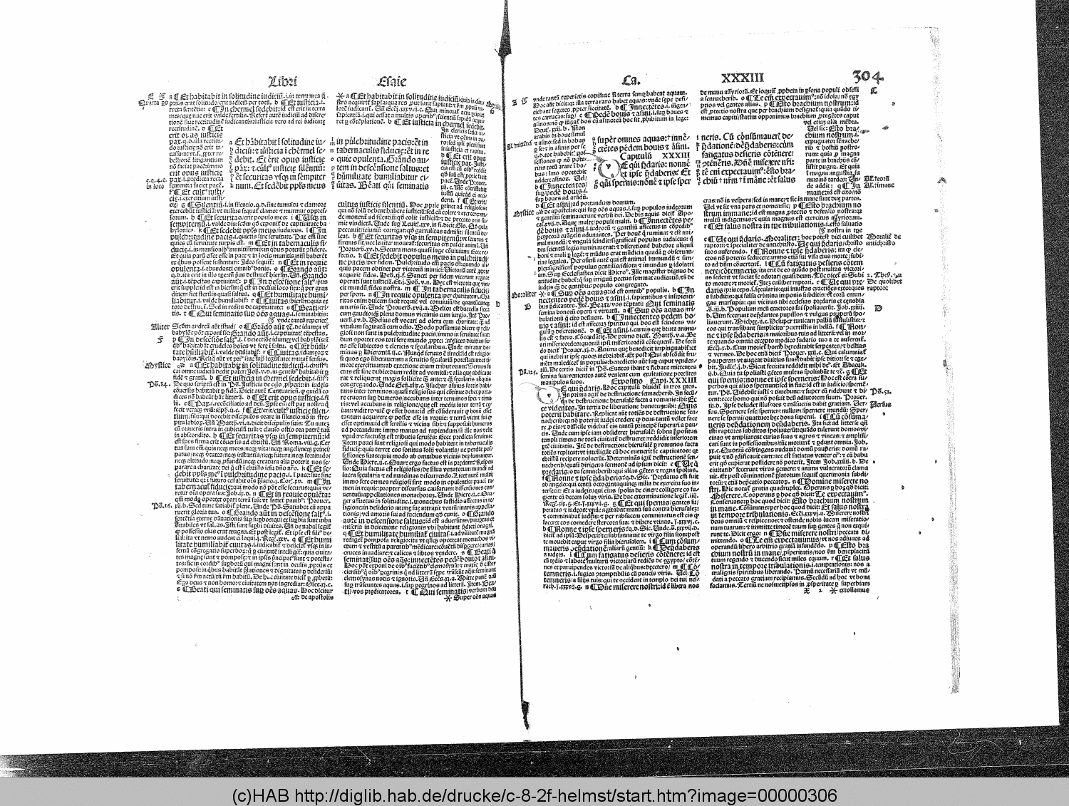http://diglib.hab.de/drucke/c-8-2f-helmst/00000306.gif