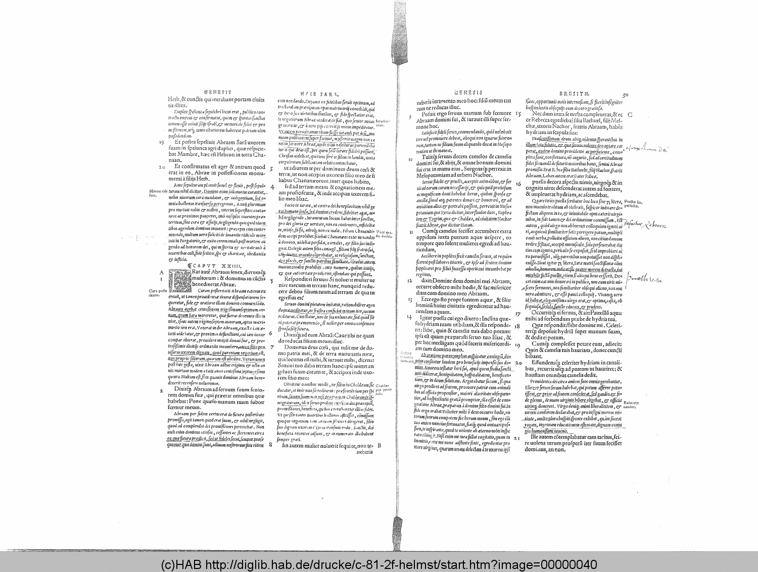 http://diglib.hab.de/drucke/c-81-2f-helmst/00000040.gif