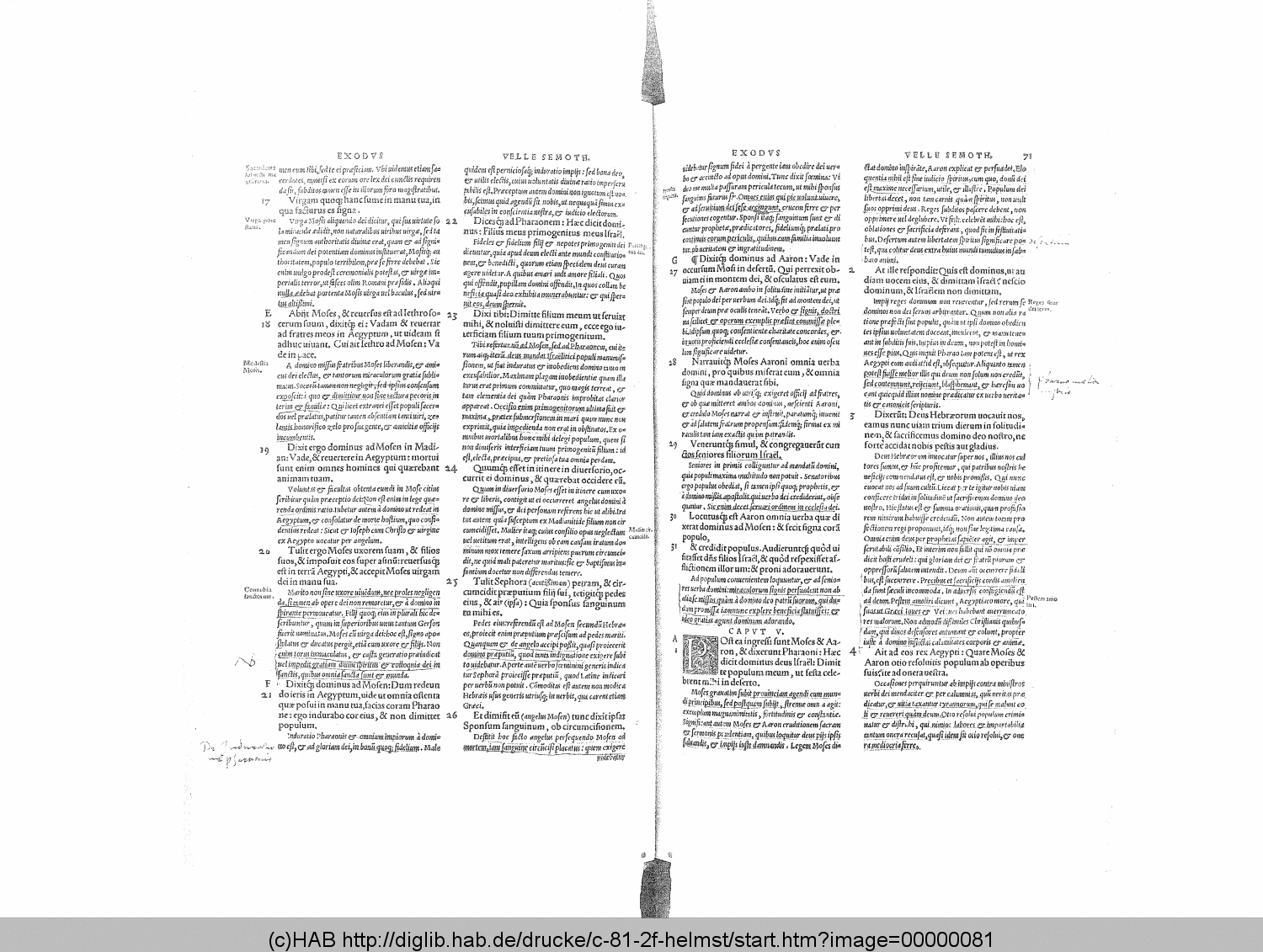 http://diglib.hab.de/drucke/c-81-2f-helmst/00000081.gif