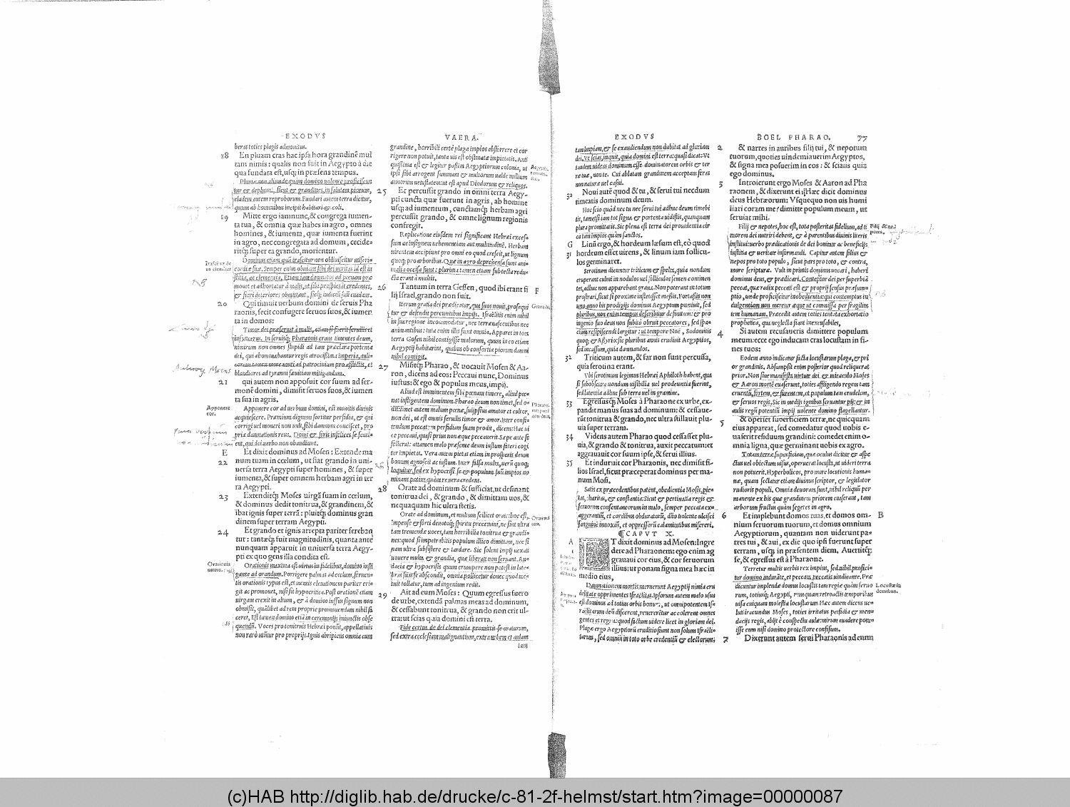 http://diglib.hab.de/drucke/c-81-2f-helmst/00000087.gif