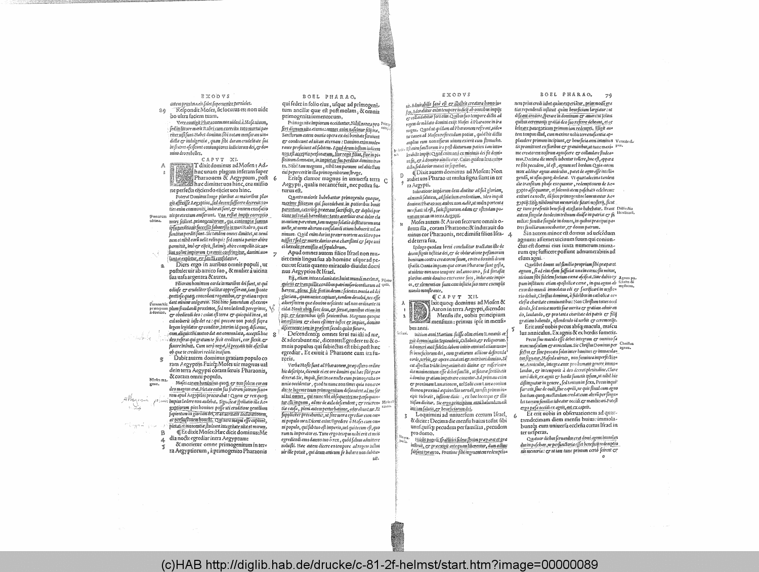 http://diglib.hab.de/drucke/c-81-2f-helmst/00000089.gif