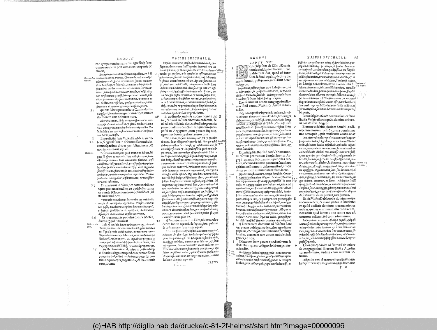 http://diglib.hab.de/drucke/c-81-2f-helmst/00000096.gif