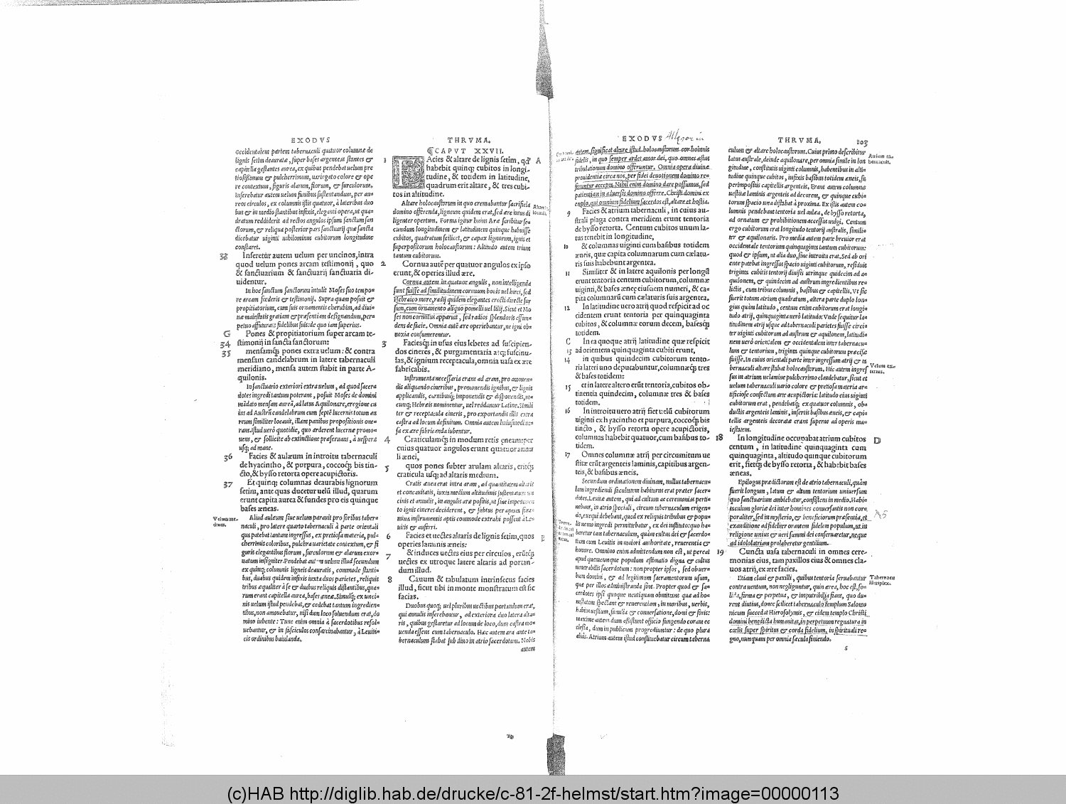 http://diglib.hab.de/drucke/c-81-2f-helmst/00000113.gif